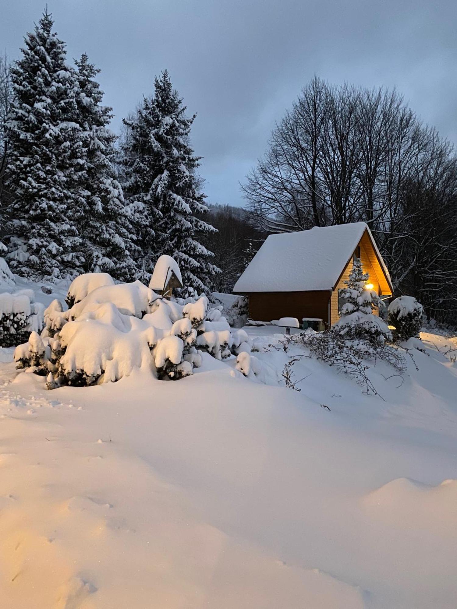 Domek Gorski Na Polanie Goryczkowej 700 M Npm - Szczyrk Dojazd Samochodem Terenowym, W Zimie Utrudniony - Wymagane Lancuchy Exterior foto